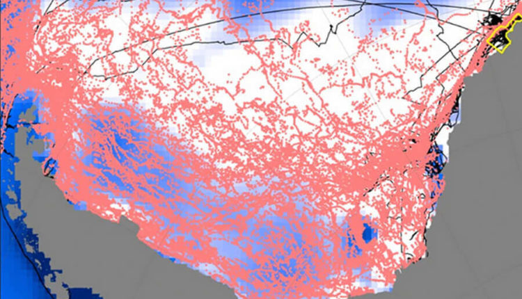 Нарастание льда в Антарктиде оставило треть от биомассы в море Уэдделла