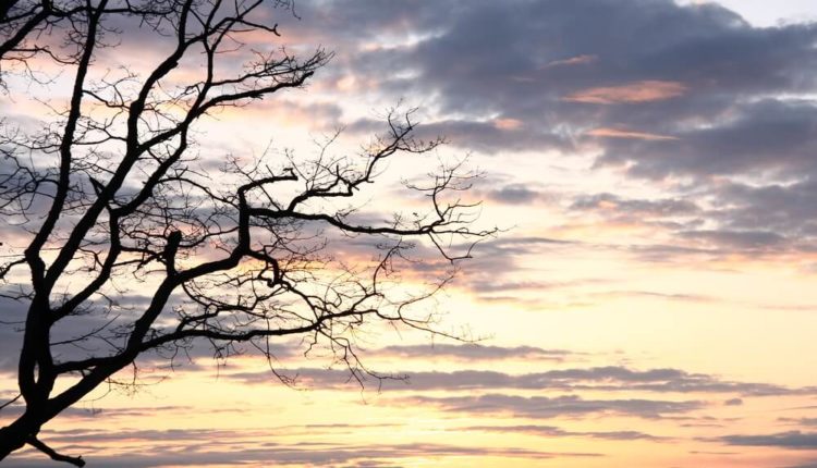 Чистый воздух грозит жарой и тяжелыми муссонам