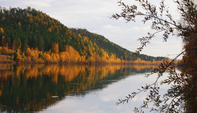 Осень / Автор - Роман Незовибатько