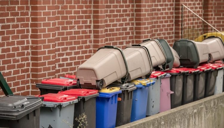 Роспотребнадзор рекомендует приостановить раздельный сбор мусора