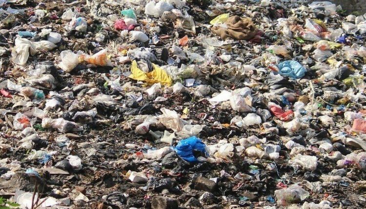 СНТ в Липецкой области завалили мусором