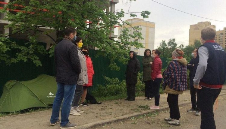 В Тюмени жители пытаются спасти деревья рядом со стройкой