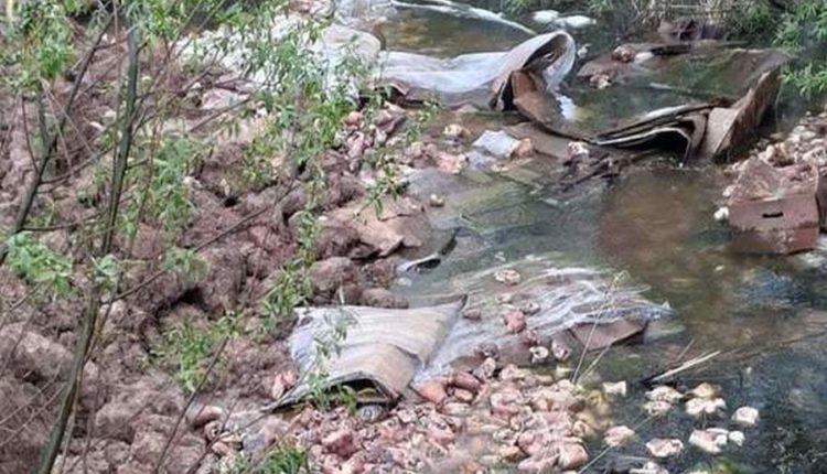 В Калуге обнаружена свалка останков животных