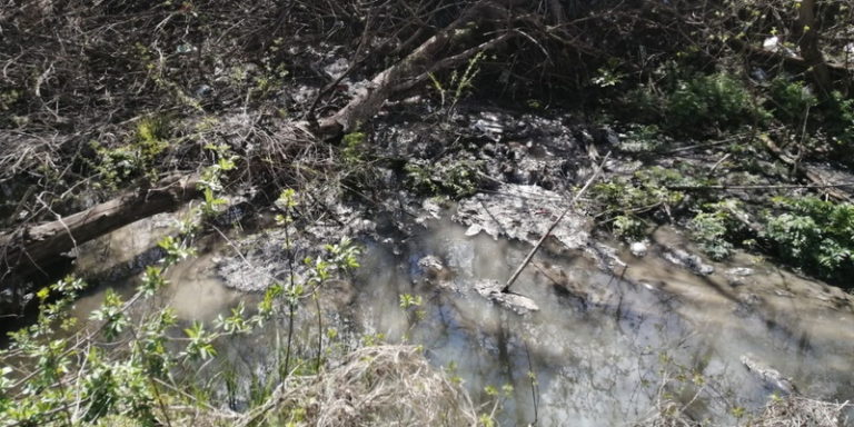 В реке под Екатеринбургом выявили высокую концентрацию марганца