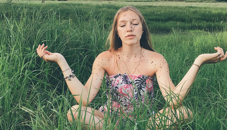 На Хабаровске пропали комары