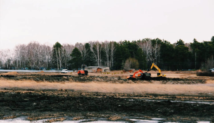 На Алтае проходит расчистка озера Колядинское