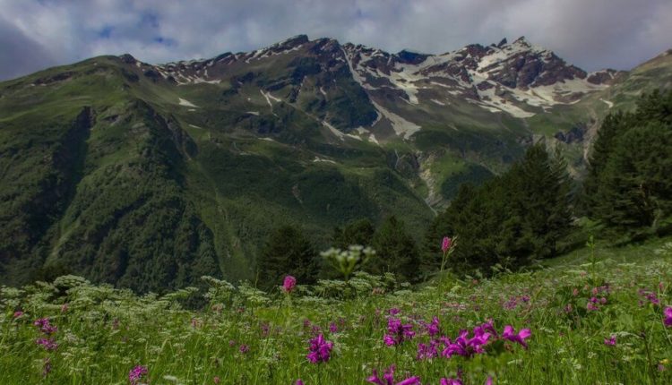 природа Северного Кавказа восстанавливается в период пандемии