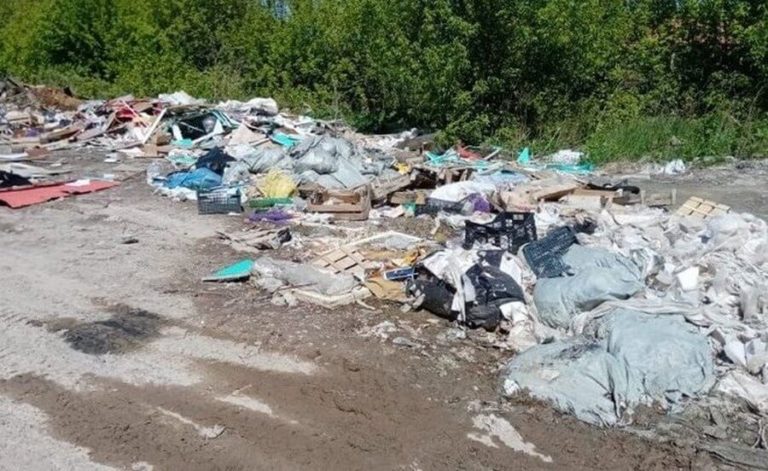 В Подмосковье оцифруют лесные свалки