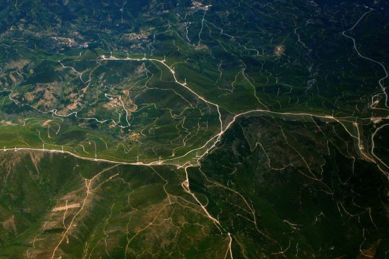 В Минприроды призвали доработать нацпроект «Экология» из-за ЧП на Камчатке