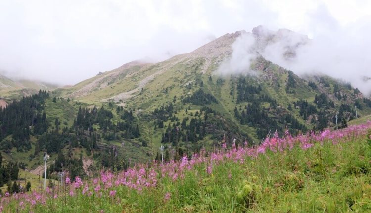 Казахстан / Автор: Наталья Слободчикова