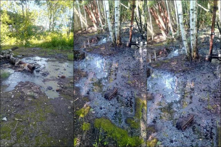 Разлив мазута: в Пролетарском районе Тулы назревает экологическая катастрофа