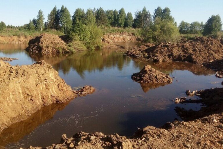 Минприроды Свердловской области оценило ущерб от осушения Шиловских болот