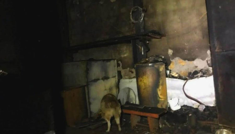 пожар в приюте для домашних животных Одессы