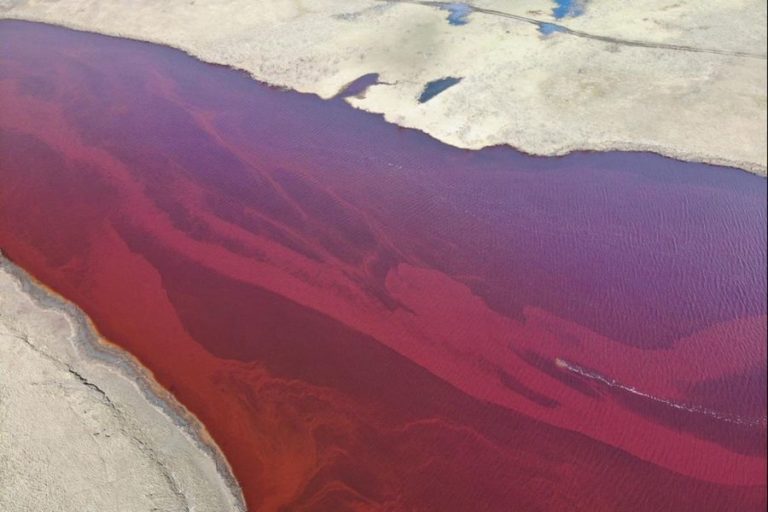 Эксперты: ЧП в Норильске сопоставимо с аварией Exxon Valdez около Аляски