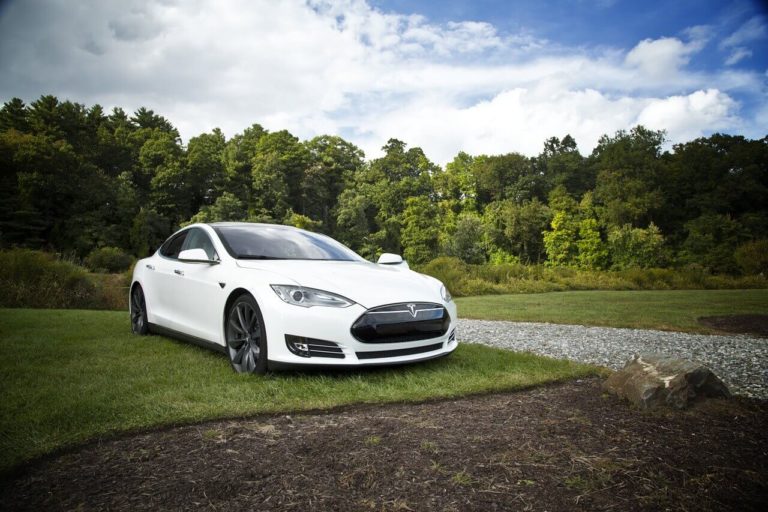 Tesla отказалась от выпуска аккумуляторов в Германии из-за природы