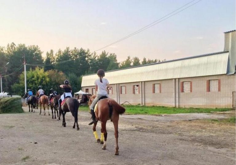 В Набережных Челнах планируют забрать диких животных из школы «Тулпар»