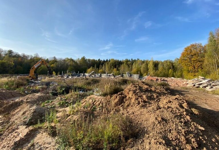 Лесничества начнут восстанавливать леса по заказу предпринимателей