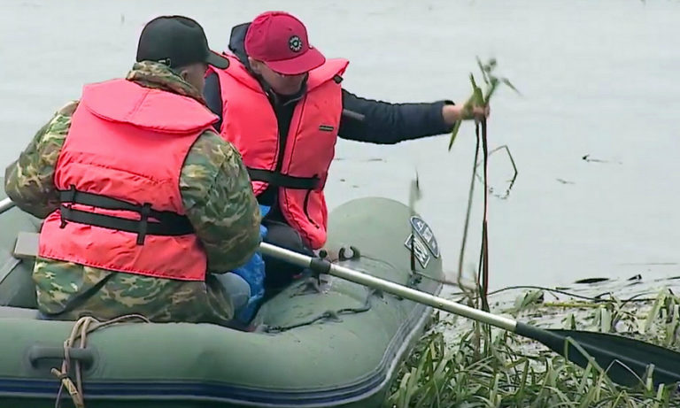 Озеро в Карелии заросло смертельно опасными водорослями