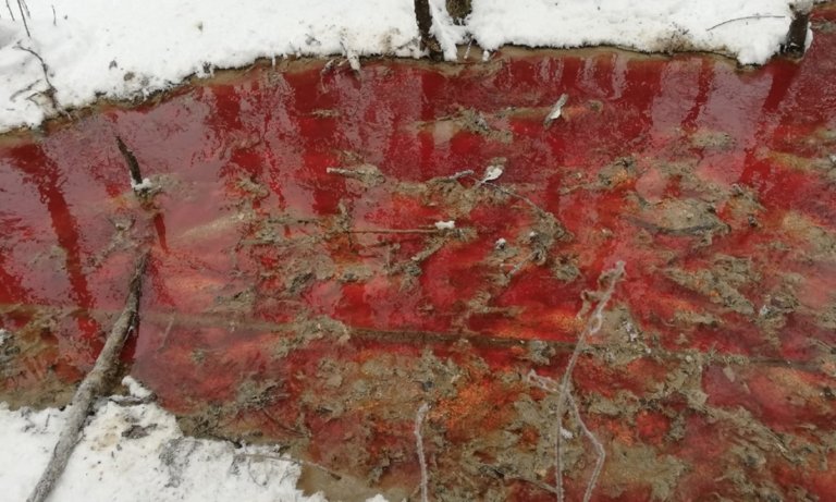 Жители посёлка в Карелии жалуются на кровавую воду