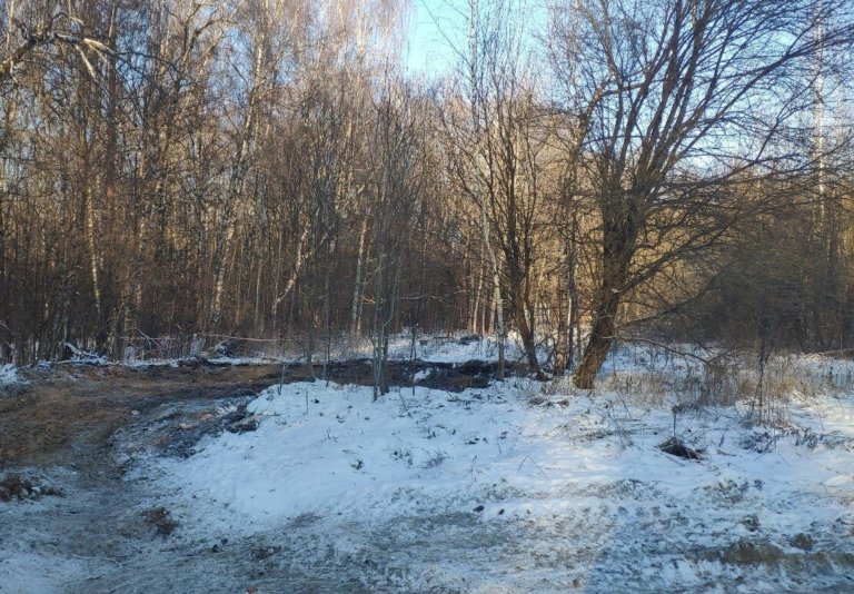 В 2022 году в Москве восстановят четыре природных парка