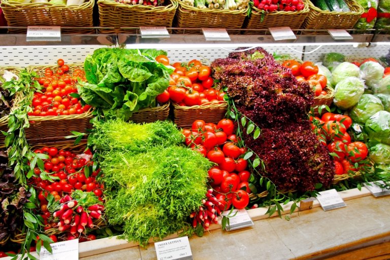 Правительство одобрило законопроект о «зелёной» продукции