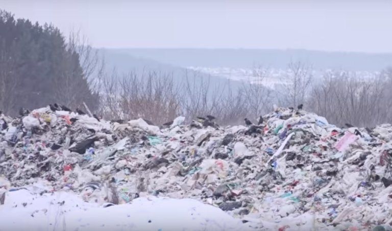 Архангельский регоператор оштрафуют за нарушения работы