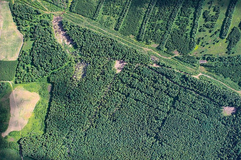 Иркутские леса изучили из космоса
