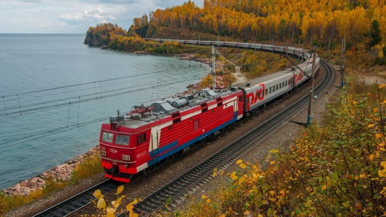 РЖД выплачивает ущерб за сбитых диких животных