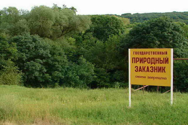 В Одинцово откроют заказник