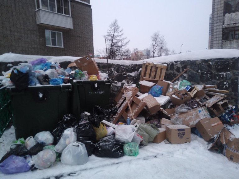 Новосибирск встретил Новый год мусорным коллапсом
