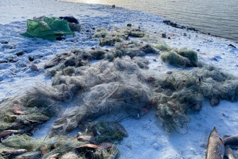 На Симферопольском водохранилище задержаны браконьеры с тонной рыбы