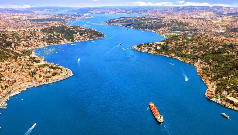 Рыбы в Босфоре гибнут от отравления свинцом