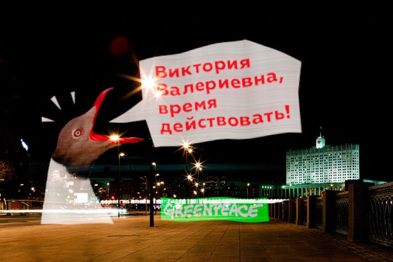 Виртуальная чайка обратилась к Виктории Абрамченко с просьбой