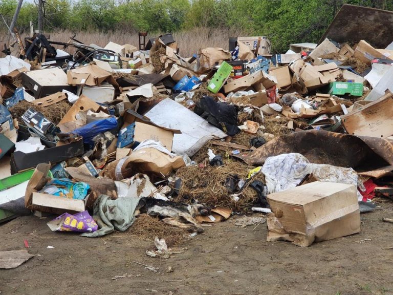 В Воскресенске обнаружена незаконная свалка площадью 400 м2
