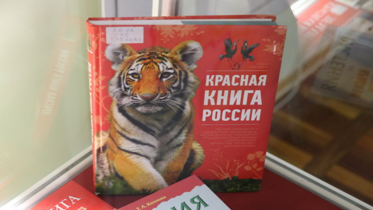 Росприроднадзор предлагает запретить вывоз всех редких животных и растений