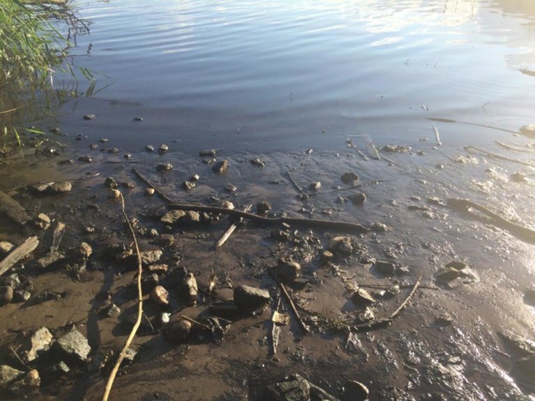 На поверхности Северной Двины обнаружено радужное пятно