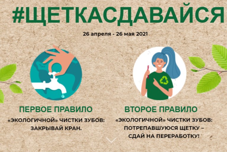 Зубные щётки станут тротуарной плиткой