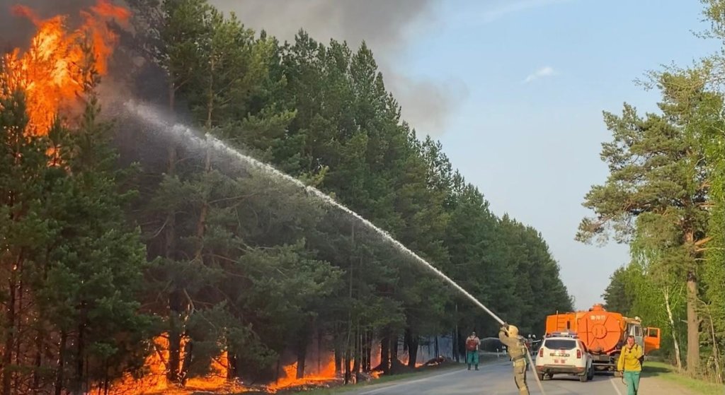 Российские регионы занижают данные о пожарах в лесах