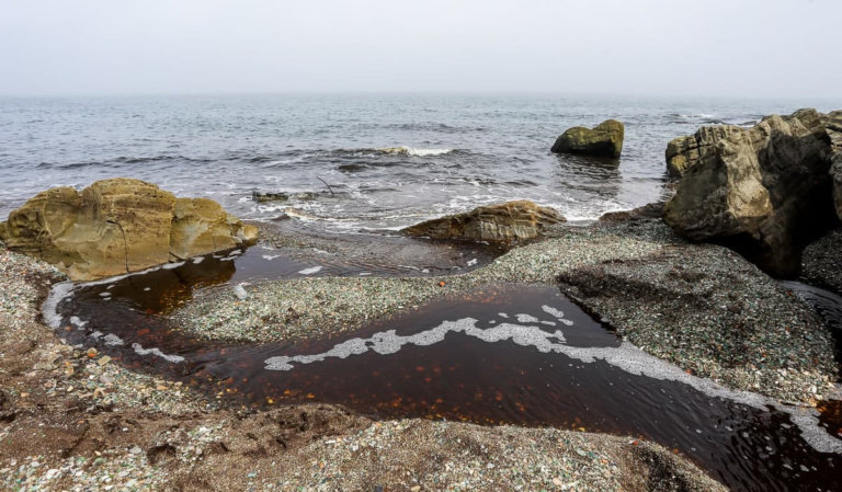 При подходе к Уссурийскому заливу взяты пробы воды