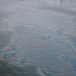 В Оке обнаружены нефтяные пятна