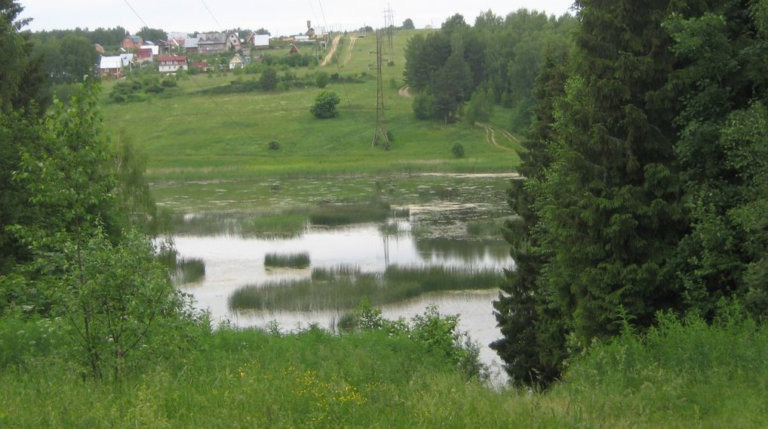 Водохранилище Подмосковья превращается в болото
