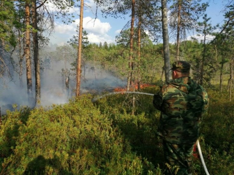 В нацпарке «Онежское Поморье» потушили сильнейший пожар