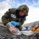 Состояние водоёмов и суши Таймыра будет оценено до конца лета