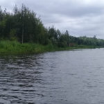 В Липецкой области расчистят реку Воронеж