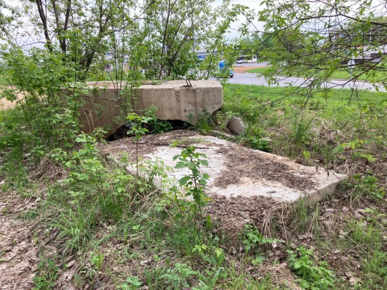 Госинспекция по недвижимости Москвы ликвидировала очередную свалку