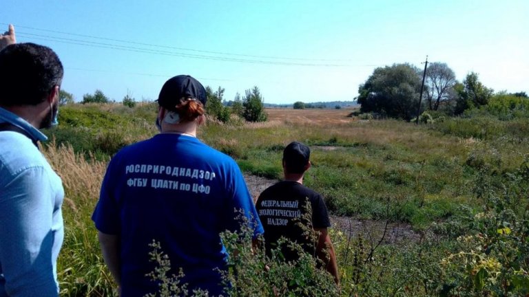 Мясокомбинат в Брянской области травил почвы и водоем