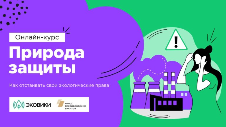 В России стартовал бесплатный онлайн-курс по защите экоправ
