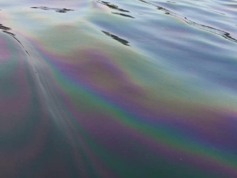 Радужное пятно на поверхности Азовского моря увеличилось