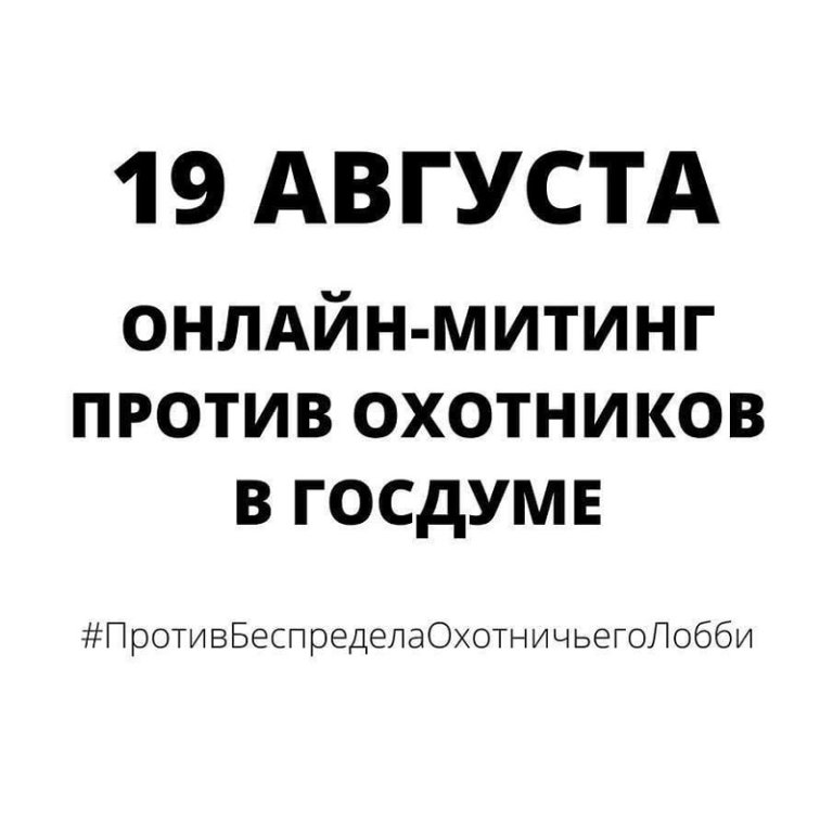 Защитники животных проведут онлайн-митинг против поправок в закон об охоте
