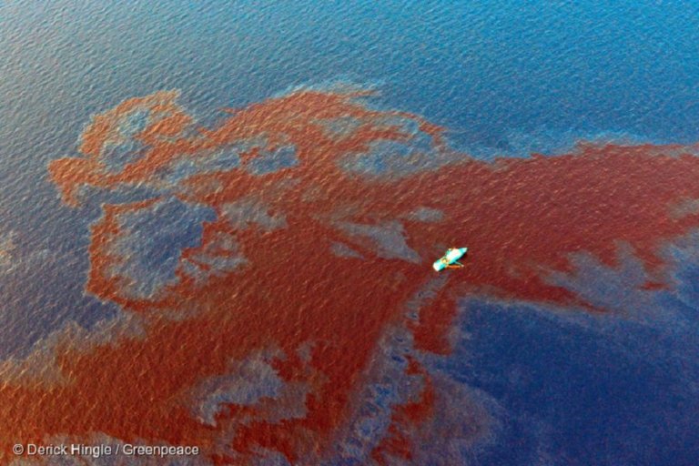 В Мексиканском заливе ищут причину появления нефтяного пятна